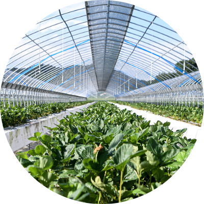 Agriculture